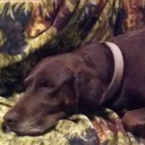 Meet your Posher, Susan